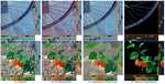 Hierarchical and View-invariant Light Field Segmentation by Maximizing Entropy Rate on 4D Ray Graphs